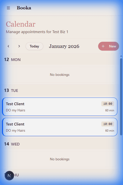 Solo Professionals using Booka